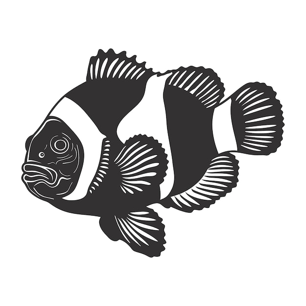 Vector silhouette clownfish color negro sólo todo el cuerpo