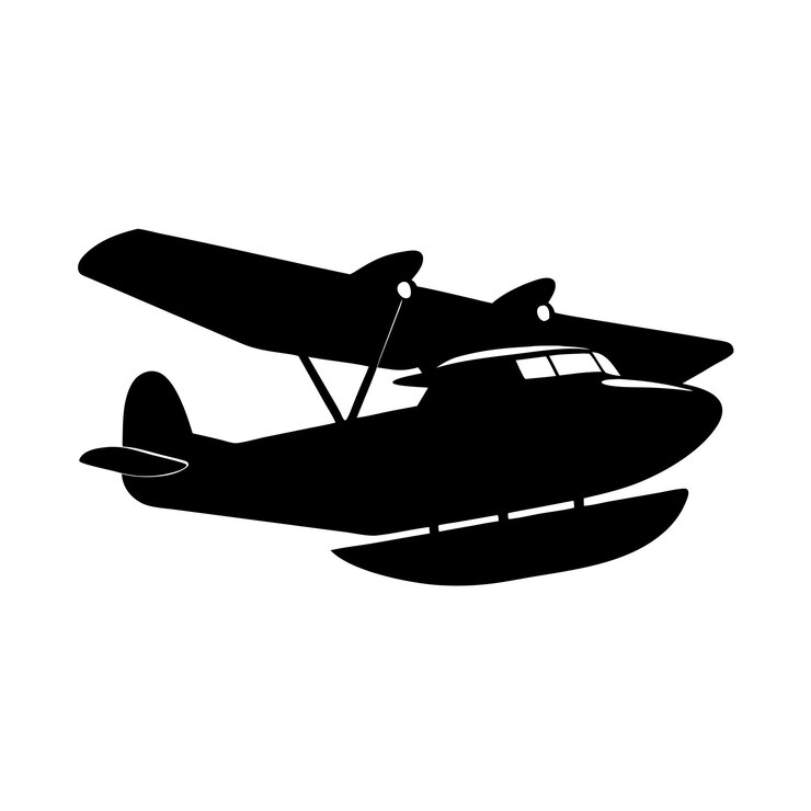 Silhouette of a Classic Seaplane in Flight