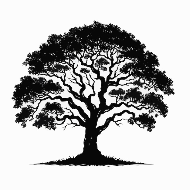 Silhueta de árbol vectorial libre aislada sobre fondo blanco