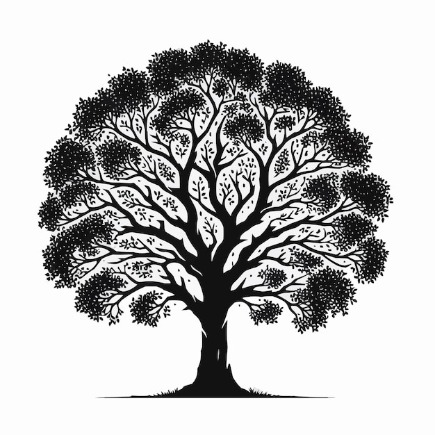 Vector silhueta de árbol vectorial libre aislada sobre fondo blanco