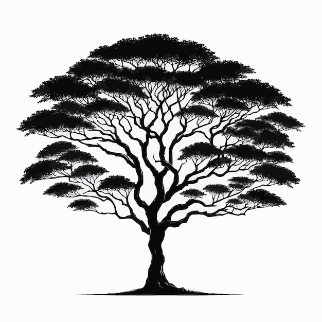 Silhueta de árbol vectorial libre aislada sobre fondo blanco