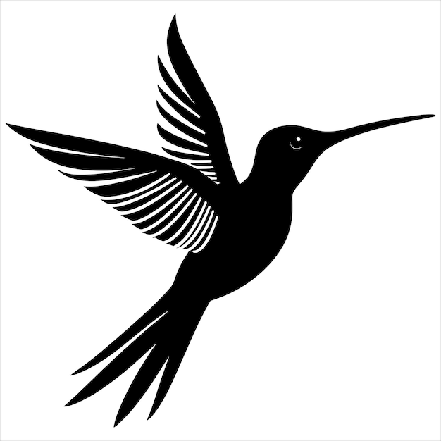 Silhueta de color negro del vector del colibrí
