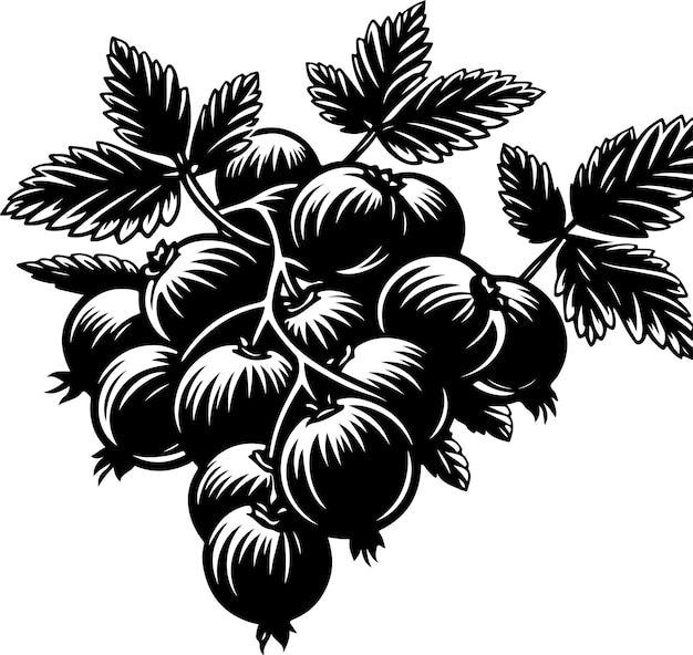 Silhueta de color negro del vector de Jambolan