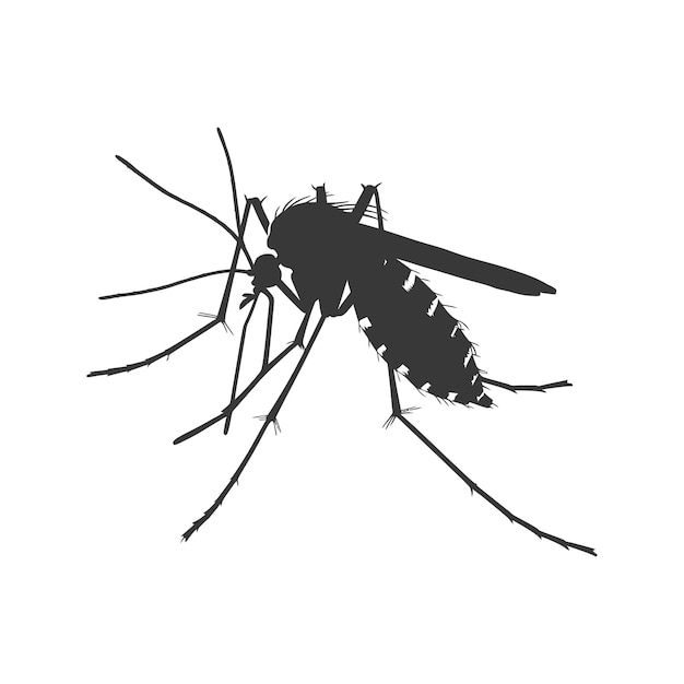 Silhueta de mosquito animal de color negro sólo todo el cuerpo