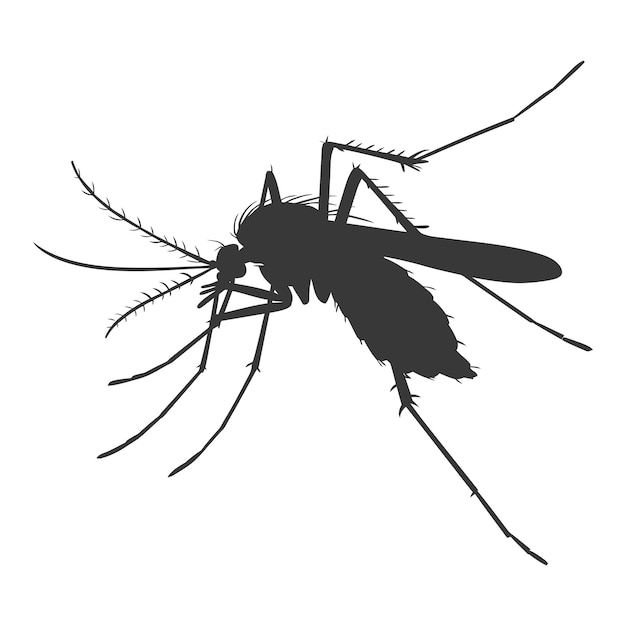 Vector silhueta de mosquito animal de color negro sólo todo el cuerpo
