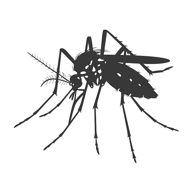 Silhueta de mosquito animal de color negro sólo todo el cuerpo