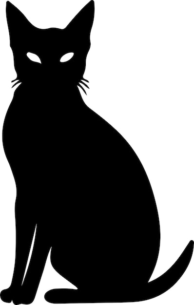 Vector silhueta negra del gato abisinio con fondo transparente