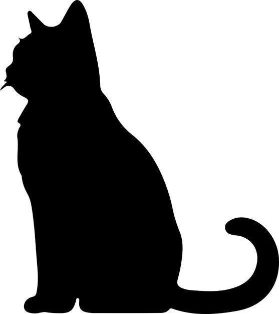 Vector silhueta negra de gato de chartreux con fondo transparente