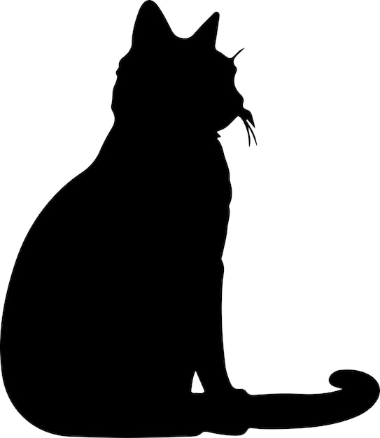 Vector silhueta negra de gato javanés con fondo transparente