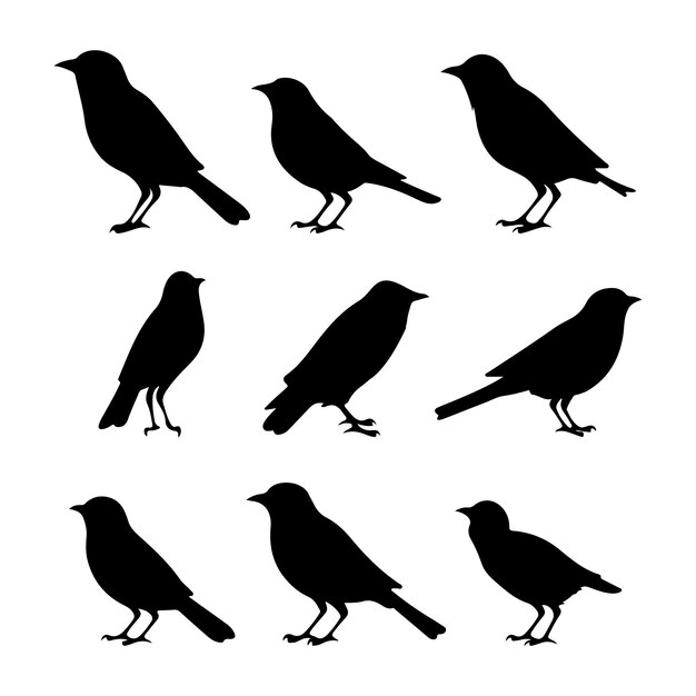 Silhueta negra de pájaro pinzón Diseño de dibujo de pájaro lindo e ilustración vectorial.