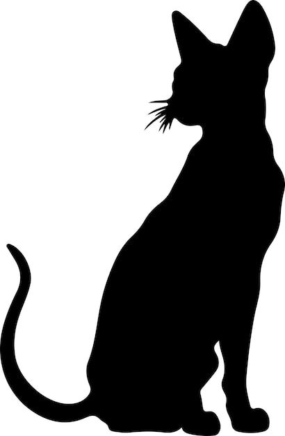 Vector silhueta negra de peterbald cat con fondo transparente