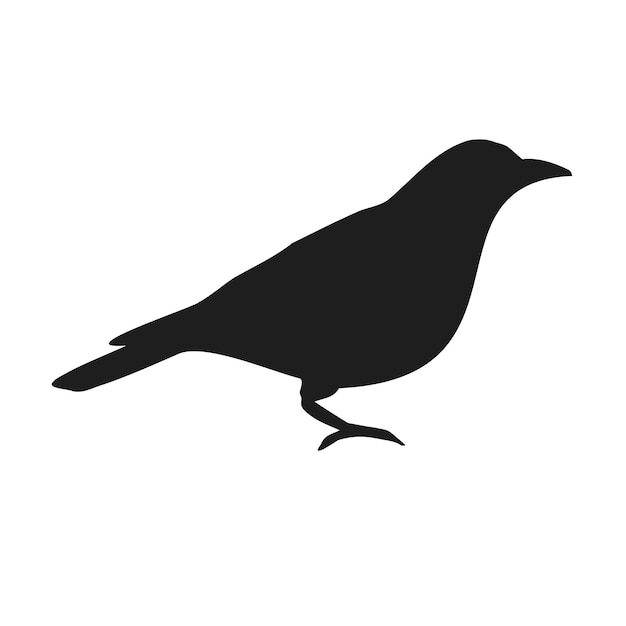 Silhueta de pájaro gato dibujada a mano por vector