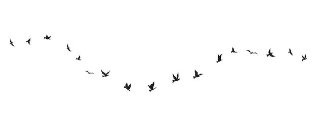 Silhueta de pájaros voladores con clipart aislado sobre fondo blanco