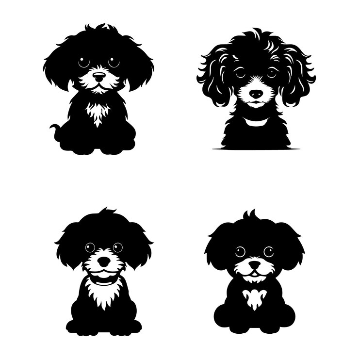 Vector silhueta perro caniche vector de logotipo lindo