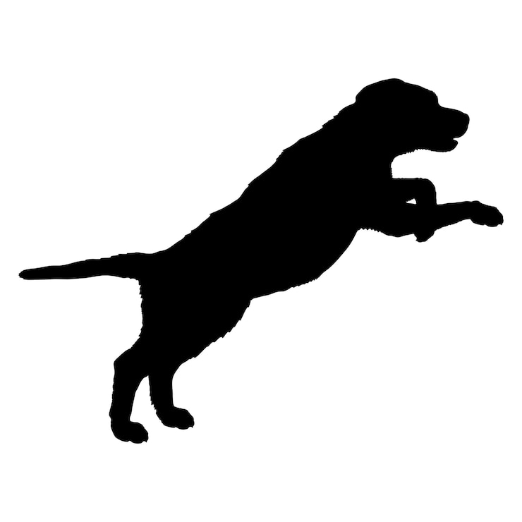 Vector silhueta de perro perro cachorro de pie en dos patas saltando razas logotipo perro monograma vector logotipo