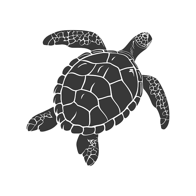 Vector silhueta de tortuga color animal negro sólo todo el cuerpo