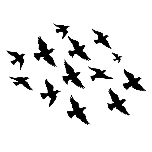Silhueta del vector de la bandada de aves voladoras con fondo blanco 2