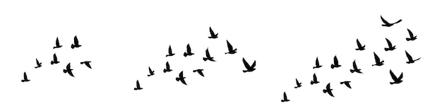 Silhuetas de pájaros voladores en fondo blanco Ilustración vectorial tatuaje de pájaro volador aislado EPS