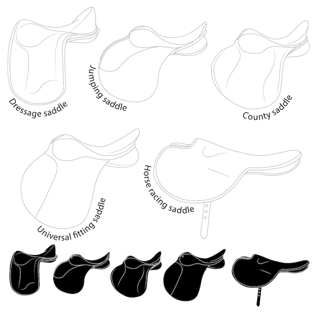 Sillas de montar para montar Ilustración tipos de sillas de montar