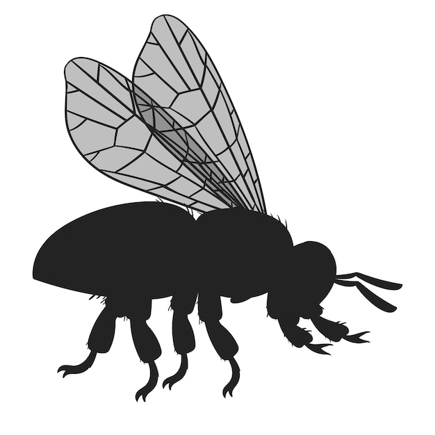 Silueta de abeja de dibujos animados Insecto de abeja alada volando lindo abejorro Silueta de abeja de miel ilustración vectorial plana sobre fondo blanco