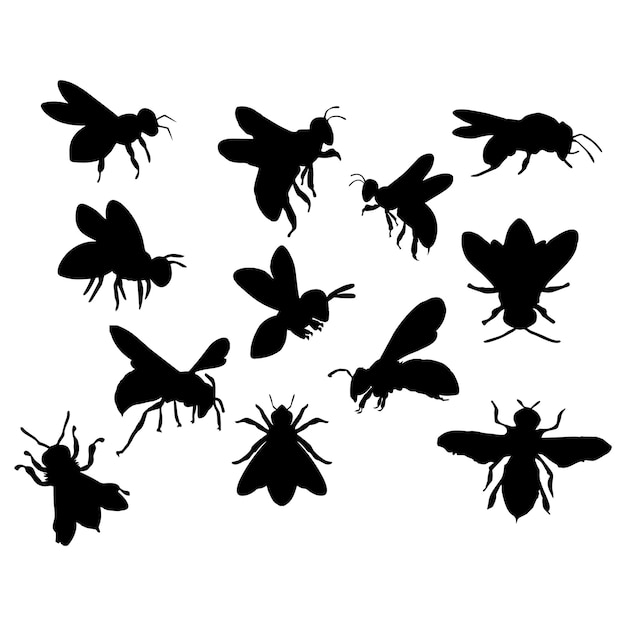 silueta de abeja negra o insecto