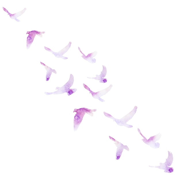 Silueta de acuarela violeta aislada vectorial de pájaros voladores