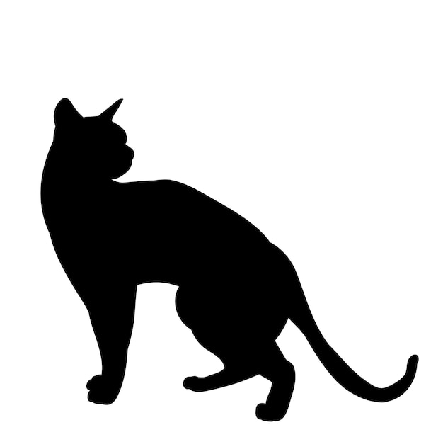 silueta aislada por vector de un gato sobre un fondo blanco