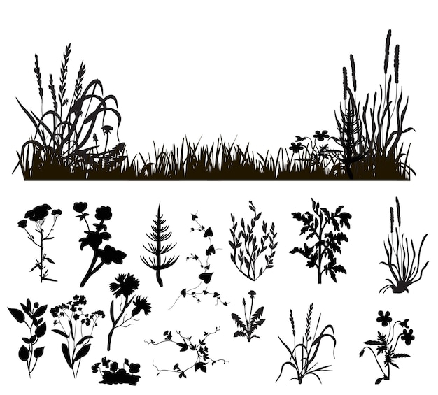 Silueta aislada vectorial de hierba y plantas aisladas sobre fondo blanco