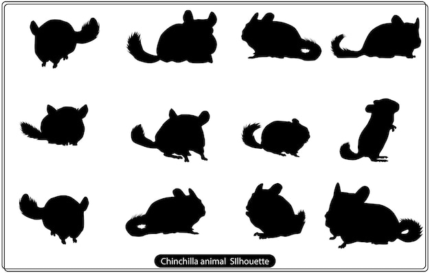 Silueta animal chinchilla