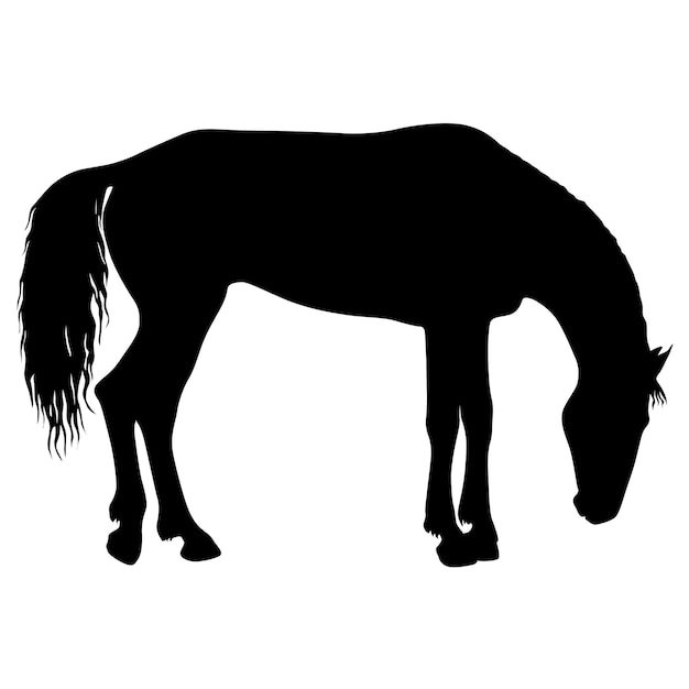 Silueta animal de ilustración de caballo mustang negro