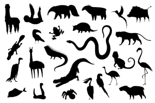 Silueta de animales de américa del sur. colección de fauna de la naturaleza. fauna geográfica local. mamíferos que viven en el continente. ilustración vectorial.