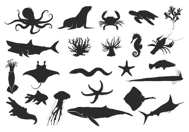 Silueta de animales marinos silueta de animales oceánicos clipart vectorial de animales silueta de vida marina