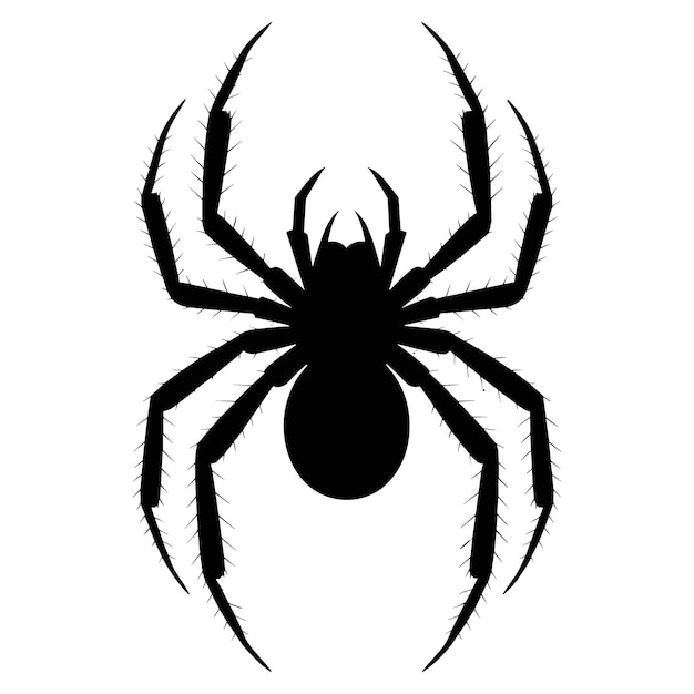 La silueta de una araña negra