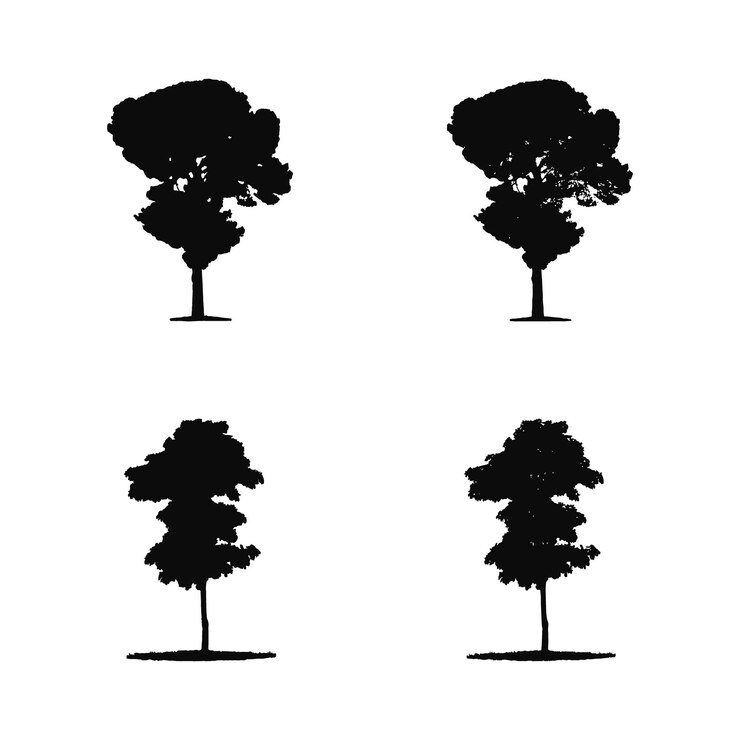 Silueta de árbol aislado en la ilustración de vector de fondo blanco.