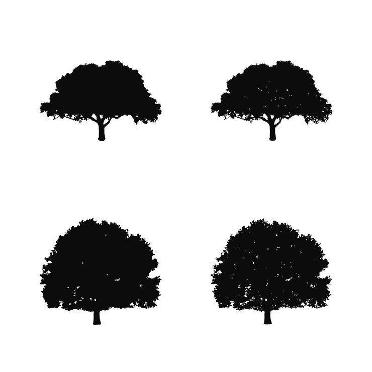 Silueta de árbol aislado en la ilustración de vector de fondo blanco.
