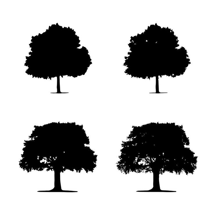 Silueta de árbol aislado en la ilustración de vector de fondo blanco.