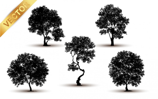 Vector silueta de árbol aislado sobre fondo blanco.