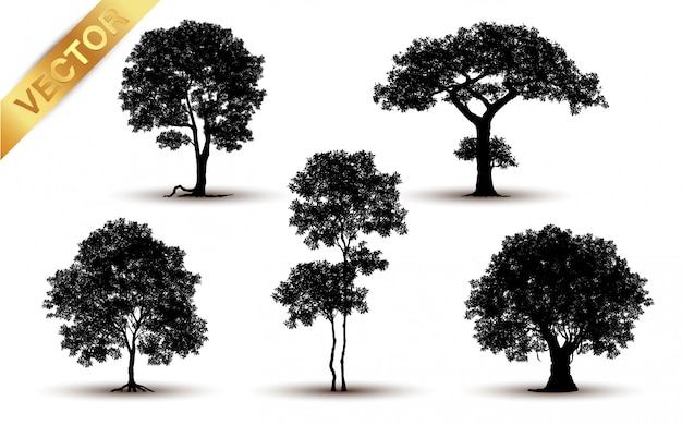 Vector silueta de árbol aislado sobre fondo blanco.