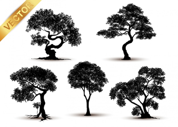 Vector silueta de árbol aislado sobre fondo blanco.