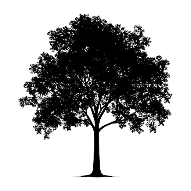 Silueta árbol naturaleza color negro sólo