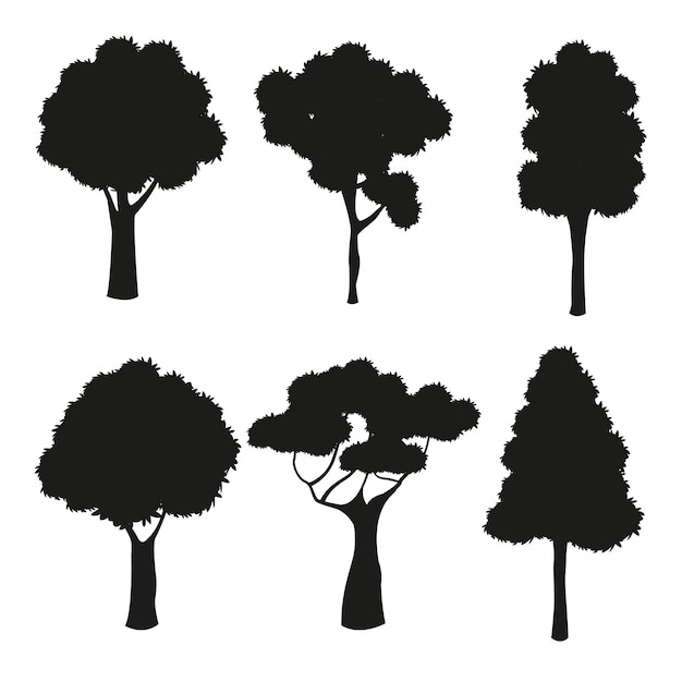 Silueta árbol naturaleza diferente