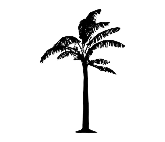 Silueta de un árbol de plátano colocado en un fondo blanco arte vectorial color negro