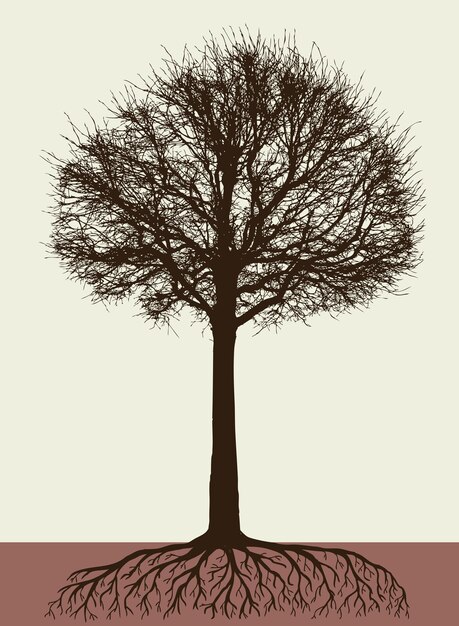 Vector silueta de un árbol con las raíces.