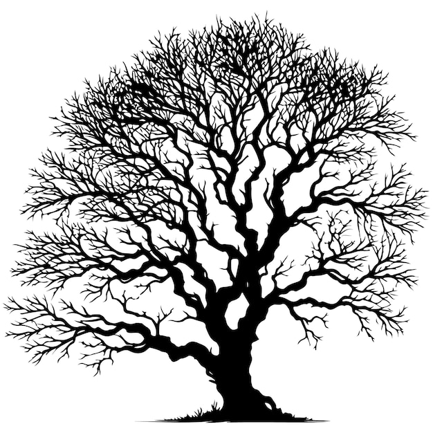 Silueta de un árbol con ramas sin hojas