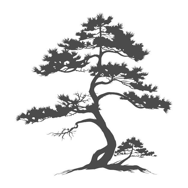silueta de arbol vector de cedro tatuaje logo ciprés diseño de plantilla arbol silueta de pino vector