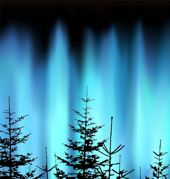 Silueta de árboles de coníferas sobre el fondo del cielo azul