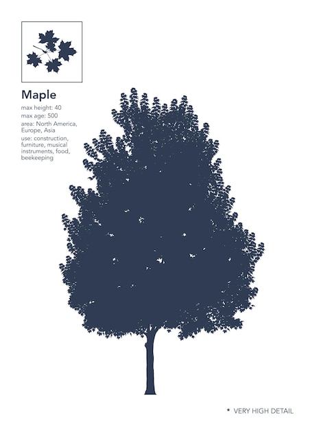 Silueta de arce árbol de arce en blanco ilustración de vector infográfico de muy alto detalle