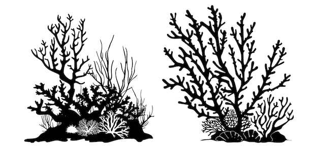 Una silueta de arrecife de coral aislada sobre un fondo blanco