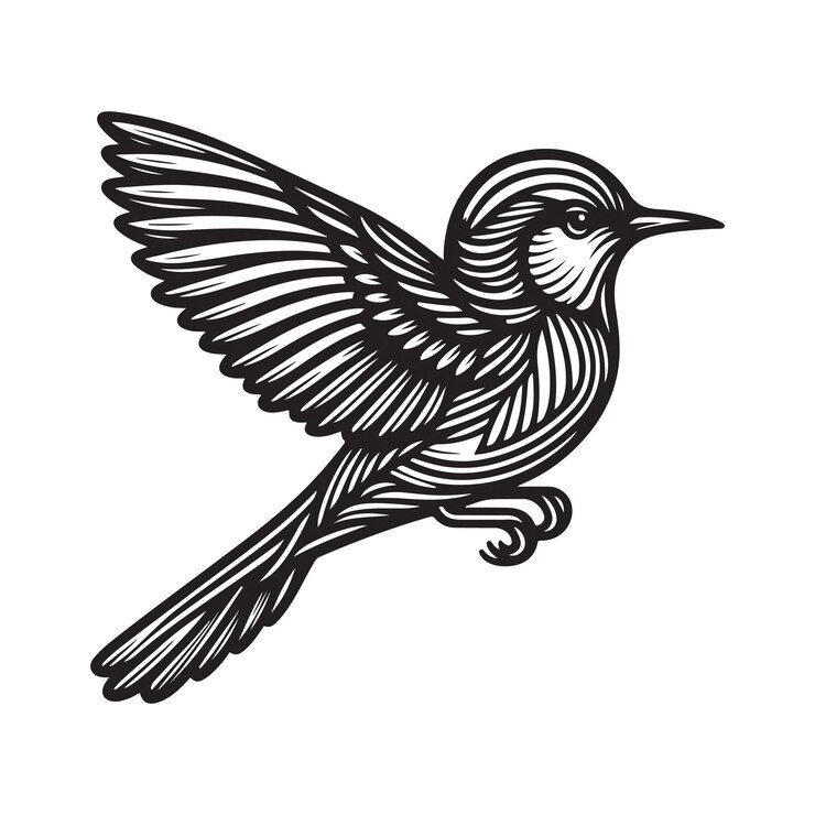 Silueta de arte vectorial de aves con fondo blanco puro