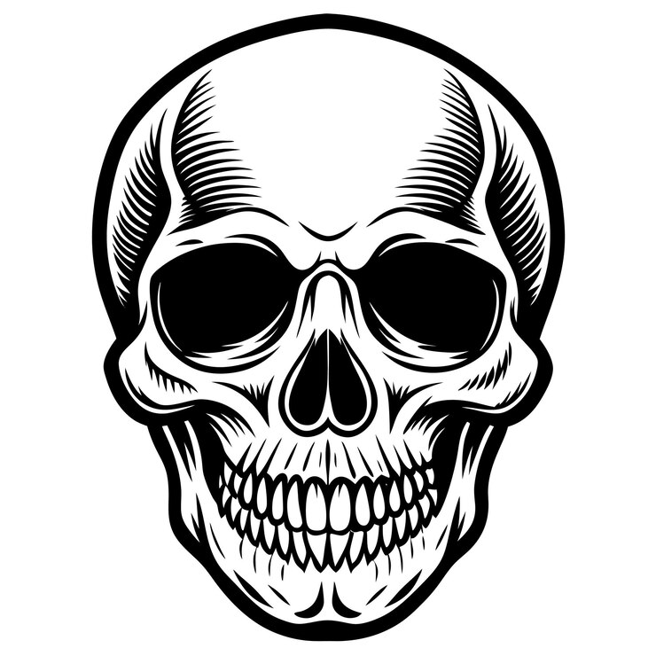 Vector una silueta de un arte vectorial de cráneo